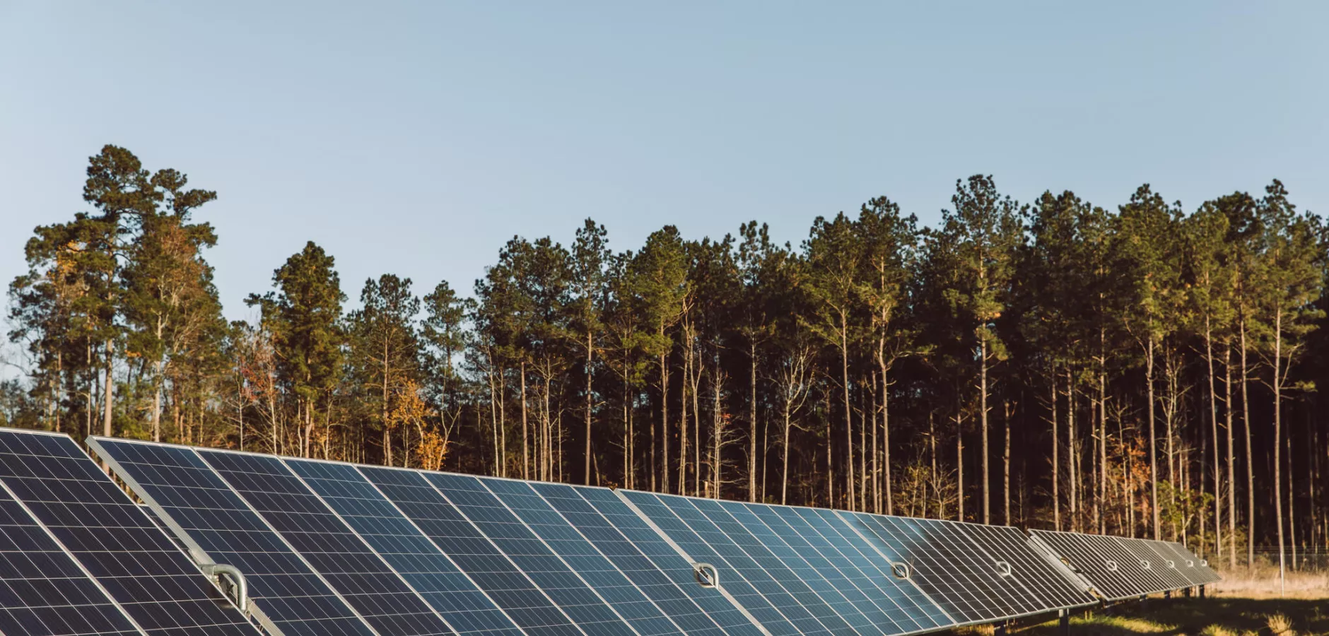 Solarfarm der Buß Solar